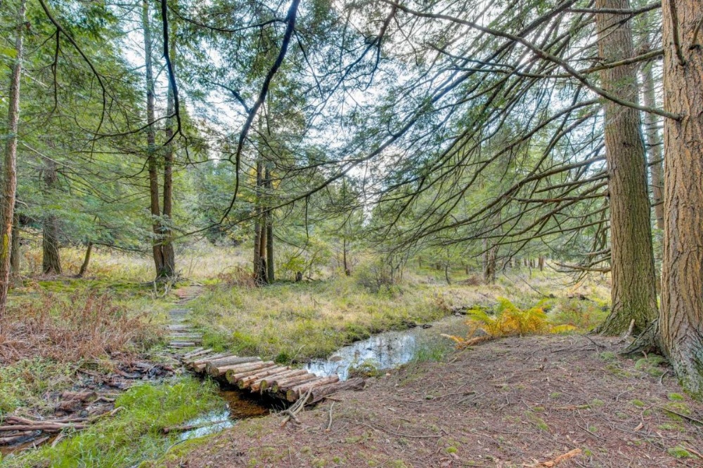Spacious and Secluded Forksville Home Fire Pit Image 29